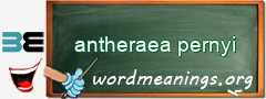 WordMeaning blackboard for antheraea pernyi